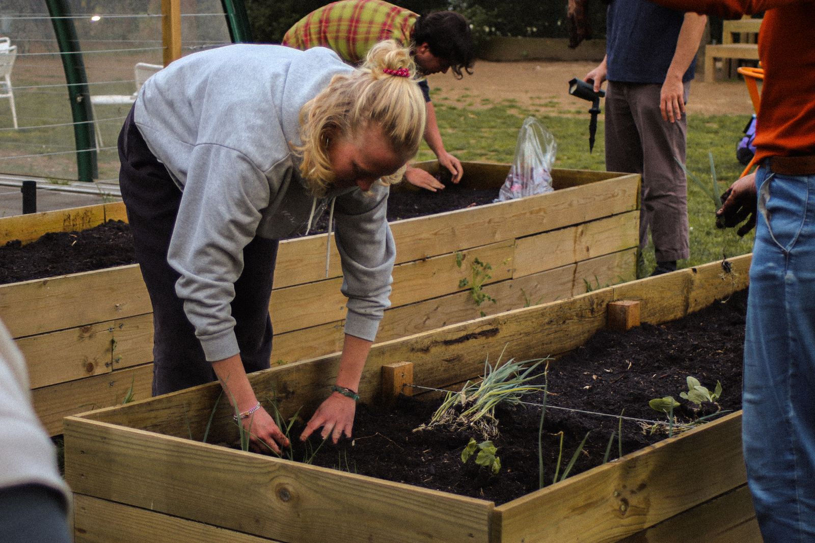 Horta do Agra // Time to Replant