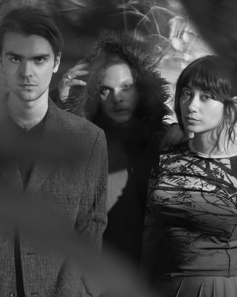 Spirit Of The Beehive