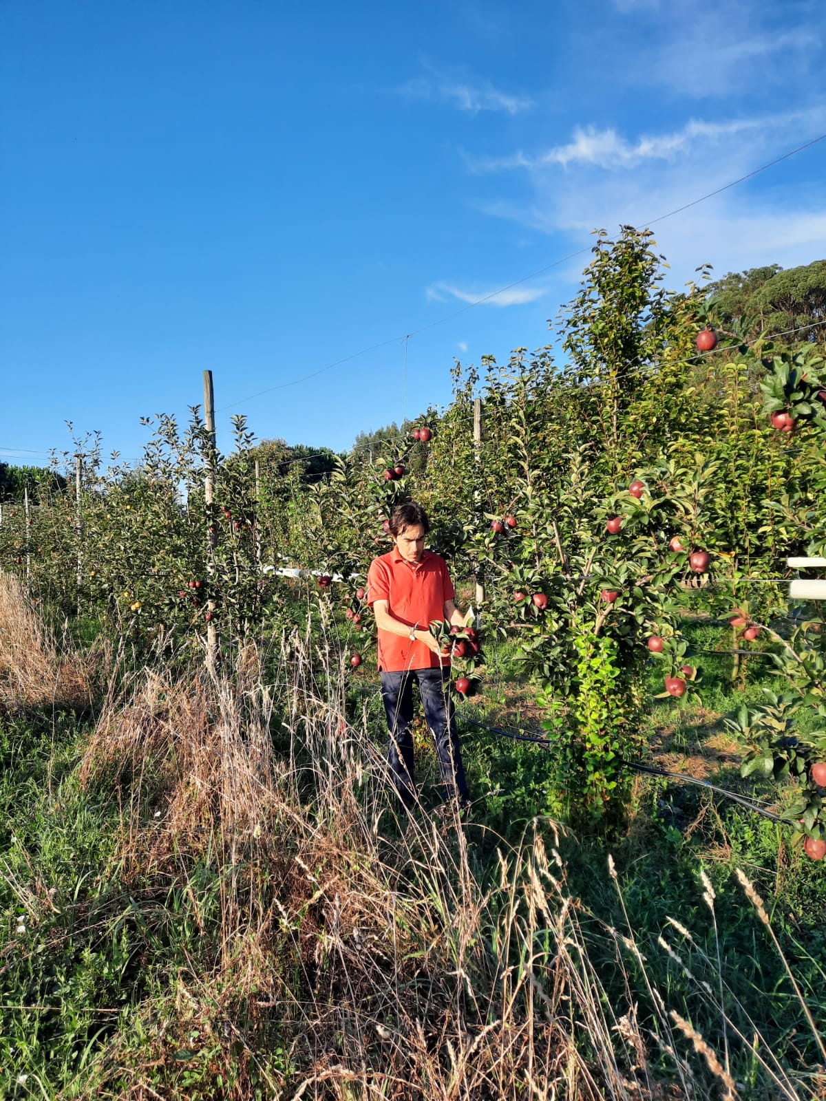 Agroecologia e a Nova PAC: O Que Queremos Apoiar?