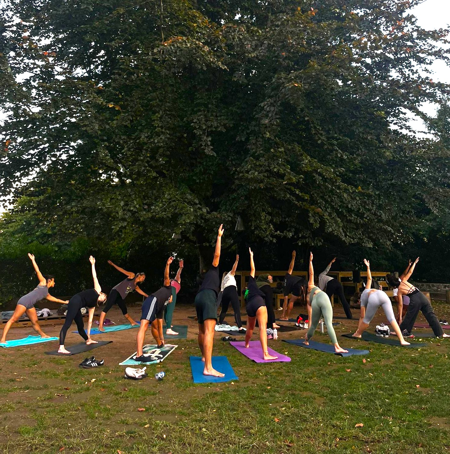 Yoga with Lisa Blumendeller